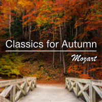 Mozart: Symphony No. 9 in C, K.73 - 2. Andante_Berliner Philharmoniker,Karl Böhm