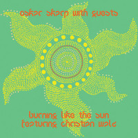 Burning Like the Sun_Oskar Skarp,Christian Walz,Daniel Savio,Ollie Ohlsson