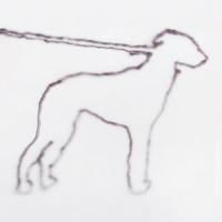 portrait of a dog_Jonah Yano