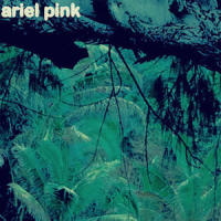 Hold Your Breath And Wait_Ariel Pink