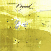 Wrong_Robert Miles