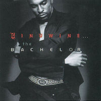 Pony_Ginuwine
