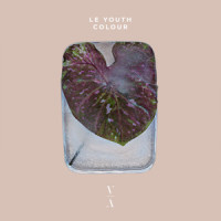 Goodbye_Le Youth