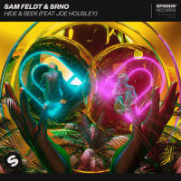 Magnets_Sam Feldt,Sophie Simmons