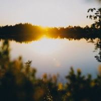 Paradise_Simian Mobile Disco