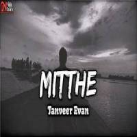 Mitthe Lofi(feat. Tanveer Evan)_Shajid Ahmed,Tanveer Evan,Piran Khan
