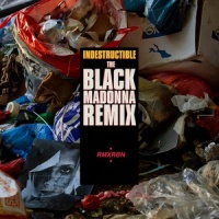 Indestructible_Robyn