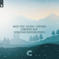 Somebody New_Vassy,Sultan & Shepard