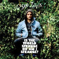 Wrong Kind Of Happy_Cosmo Jarvis