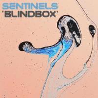 Blindbox_Sentinels,Dmitriy Kuskov