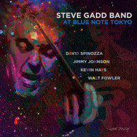 Watching the River Flow_Steve Gadd Band,Bob Dylan