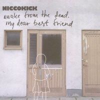 Are You Ok?_Niccokick