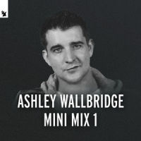 Surrender_Darude,Ashley Wallbridge,Foux