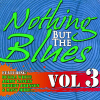 St. Louis Blues_Blind John Davis,Sonny Terry