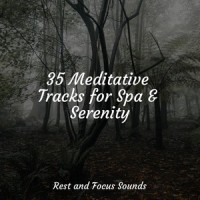 Wandering Coos_Sleepy Times,Zen,Best Kids Songs