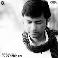 Jigar Ki Aag Se_Sajjad Ali
