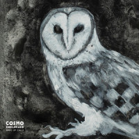 Cuckoo Song_Cosmo Sheldrake