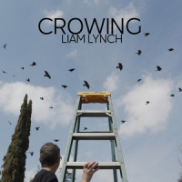 We're on Our Way_Liam Lynch
