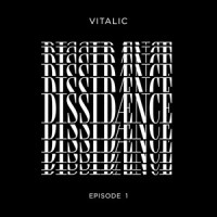 Rave Against the System_Vitalic,Kiddy Smile
