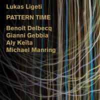 Without Prior Warning_Lukas Ligeti,Michael Manring,Gianni Gebbia,Aly Keita