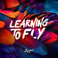 Learning To Fly_Sheppard
