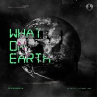 What On Earth_HomeBoy叶枫华,麦赈航