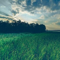 Familiar Skies_Lullabies for Deep Meditation,Spa,Organic Nature Sounds
