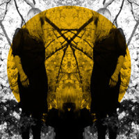 Beat And The Pulse_Austra
