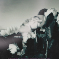 Wasted (feat. Chillin Homie)_DaNTe' (단테),Chillin Homie