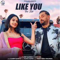 Like You_Garry Sandhu,Rahul Sathu,Loco Ink