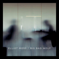 Into The Icebox (Binaural)_Elliot Moss