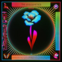 Interstellar Love_The Avalanches,Leon Bridges