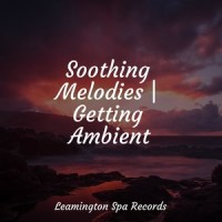 Chilling Music_Wellness,Relaxing Rain Sounds,Tonal Meditation Collective