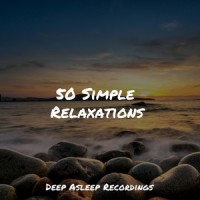 Time to Sleep_Sleepy Night Music,Meditation Awareness,Wellness