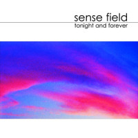 Fun Never Ends_Sense Field