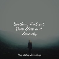 Springtime Harmony_Trouble Sleeping Music Universe,The White Noise Zen & Meditation Sound Lab,Spa