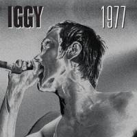 The Passenger(Live in Paris 23rd Sept - Re Mastered)_Iggy Pop