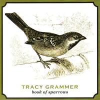 The Waking Hour_Tracy Grammer,Jim Henry