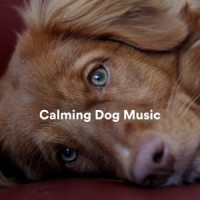 Easy Strut_Sleepy Dogs,Music for Calming Dogs
