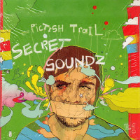 Words Fail Me Now_The Pictish Trail