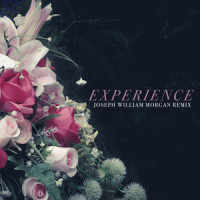 Experience_Summer Kennedy,Joseph William Morgan,Arlo Lake
