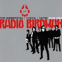 Love Kills_Radio Birdman