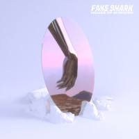 Killing Me_Fake Shark