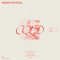 Airliner_Sebastian Roca
