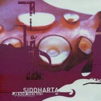 B Mashina - Laibach RMX_Siddharta