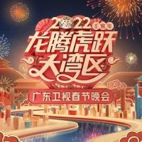 中国人_谭维维