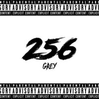 A stejně_Grey256