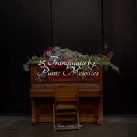 Fire in the Twilight_Calming Piano,Piano bar,Piano Pianissimo