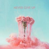 Never Give Up_Jeffrey James,lonis