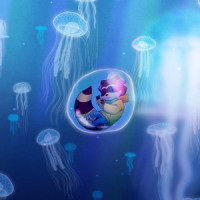 Broken Clocks_Sleepy Fish